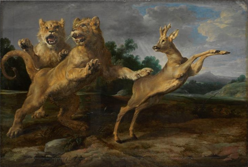 Illustration of two lions chasing a prey. This image is shown for those who are looking to understand the meaning of being chased in their dream, be it a being a prey, or any sensations relating to escaping or being chased in a dream.